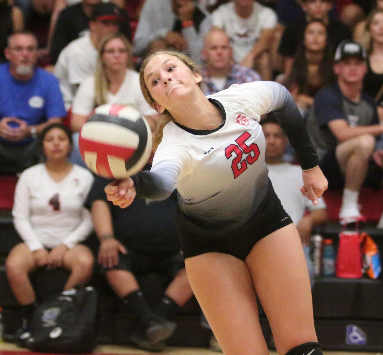 Golden Bears open season with victory over Bullpups